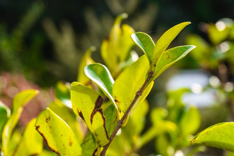 Embrace the Journey: Eco-Conscious Adventures Await You