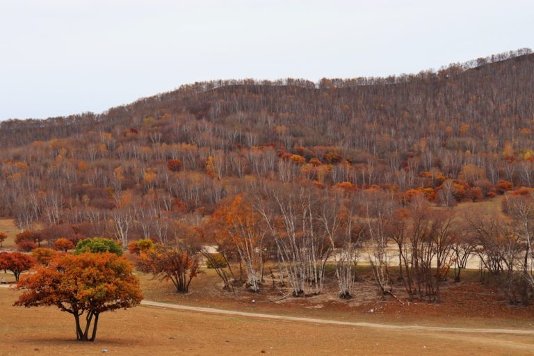 Exploring the Great Outdoors: A Budget-Friendly Guide to Travel Trends